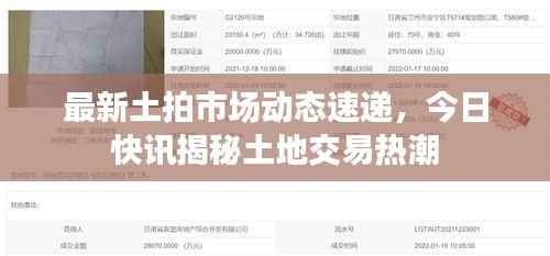 最新土拍市场动态速递,今日快讯揭秘土地交易热潮