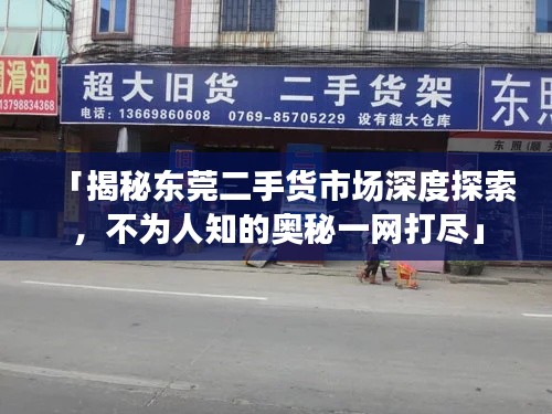 「揭秘东莞二手货市场深度探索,不为人知的奥秘一网打尽」