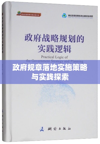政府规章落地实施策略与实践探索