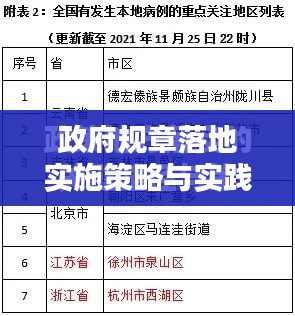政府规章落地实施策略与实践探索