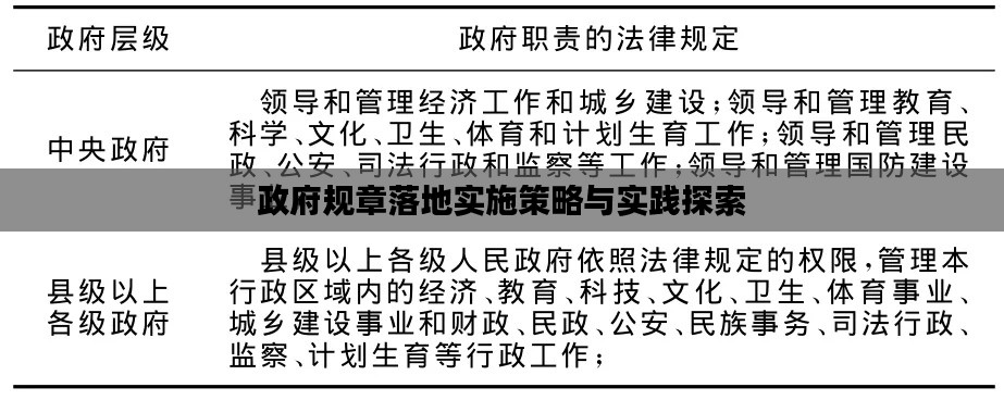 政府规章落地实施策略与实践探索