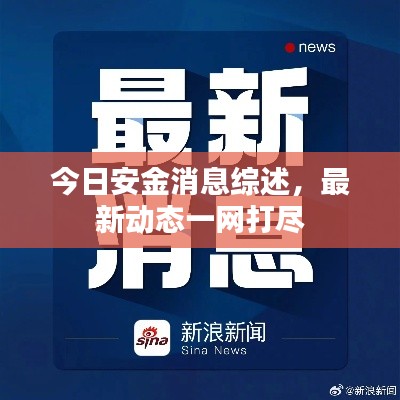 今日安金消息综述,最新动态一网打尽