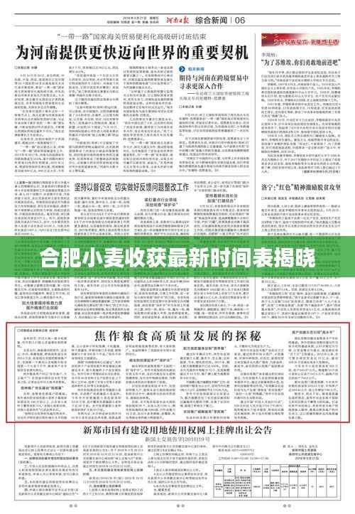 合肥小麦收获最新时间表揭晓