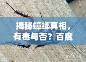 揭秘蟑螂真相,有毒与否?百度权威解答!