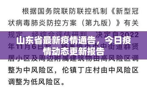 山东省最新疫情通告,今日疫情动态更新报告