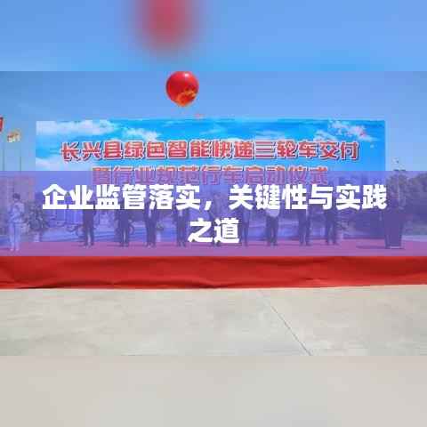 企业监管落实,关键性与实践之道
