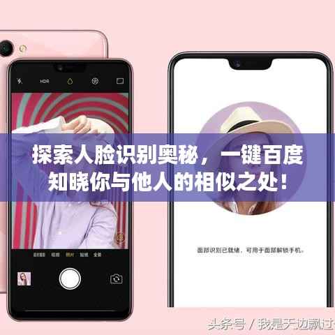 探索人脸识别奥秘,一键百度知晓你与他人的相似之处!